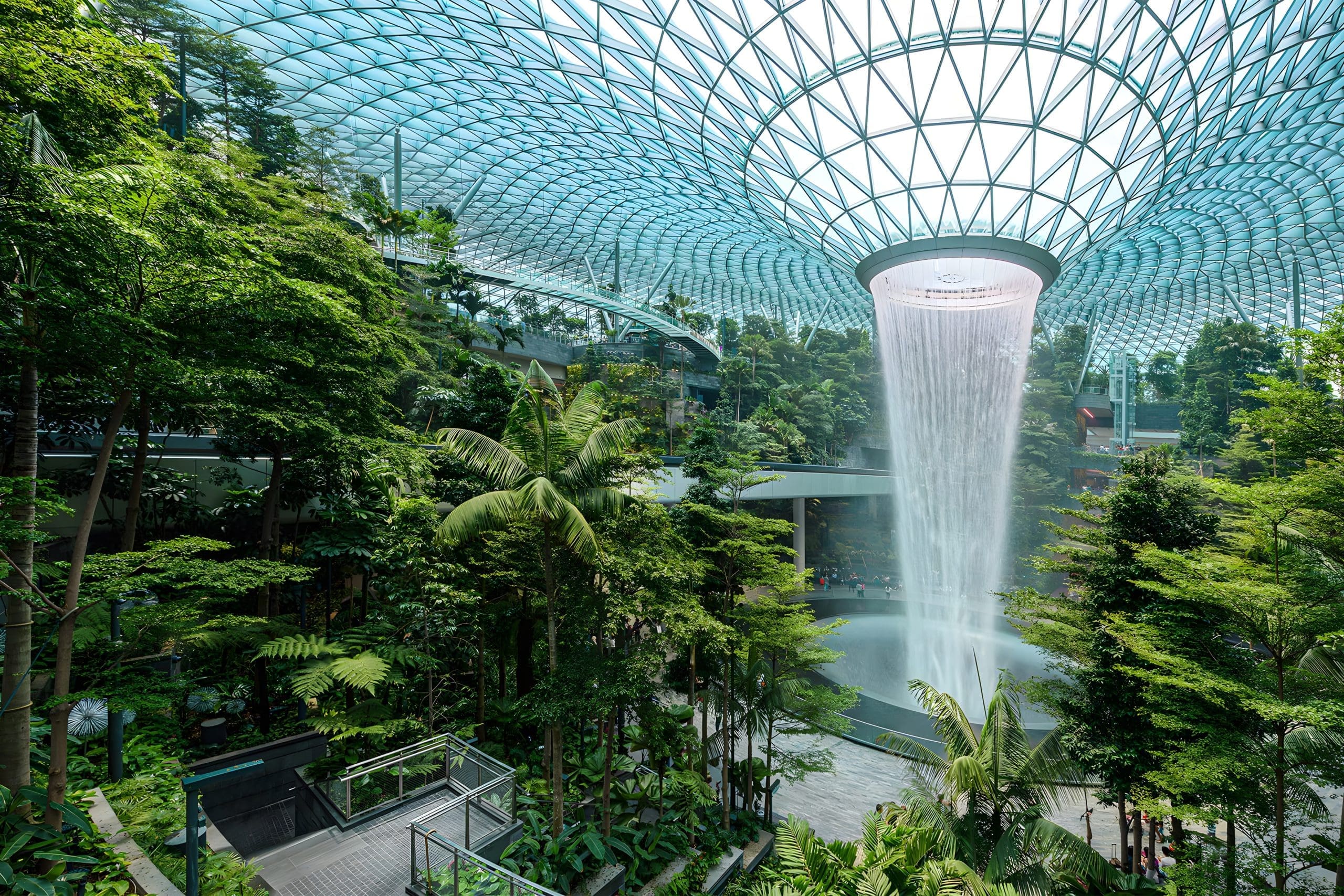 What is Biophilic Design? A Guide to Nature-Inspired Spaces